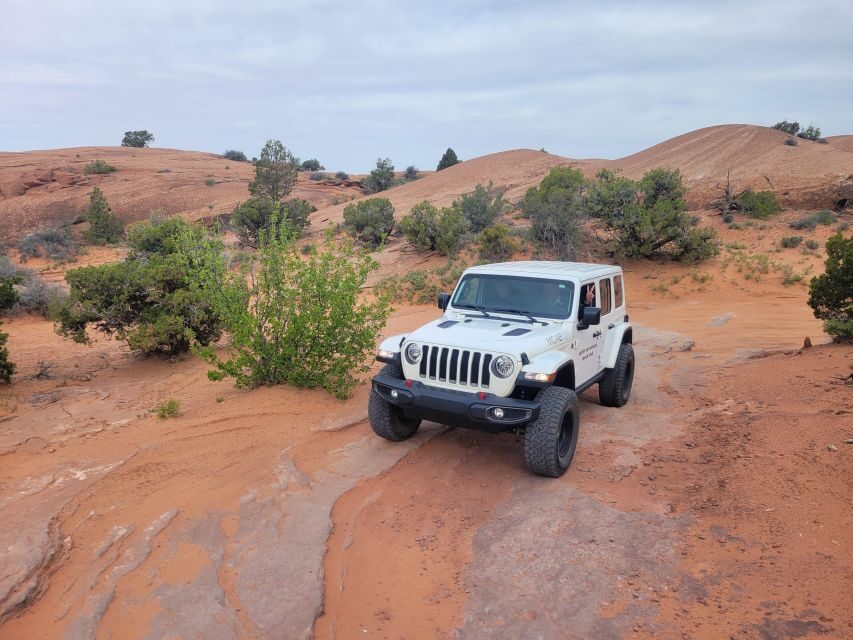 Afternoon Arches National Park 4x4 Tour - Key highlights to look for